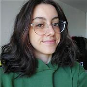 Professeur d'art (plastique et design), spécialisé dans le cinéma et l'audiovisuel